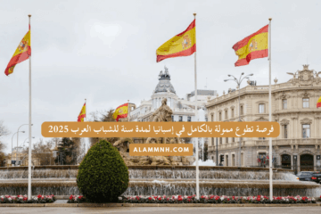 فرصة تطوع ممولة بالكامل في إسبانيا لمدة سنة للشباب العرب 2025