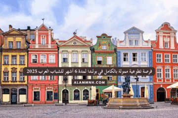 فرصة تطوعية ممولة بالكامل في بولندا لمدة 6 أشهر للشباب العرب 2025