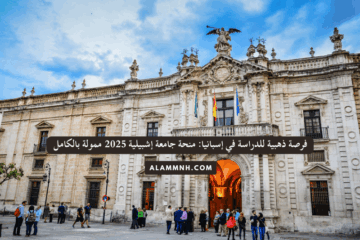 فرصة ذهبية للدراسة في إسبانيا: منحة جامعة إشبيلية 2025 ممولة بالكامل
