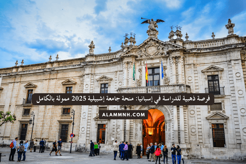 فرصة ذهبية للدراسة في إسبانيا: منحة جامعة إشبيلية 2025 ممولة بالكامل