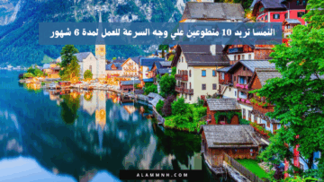 النمسا تريد 10 متطوعين علي وجه السرعة للعمل لمدة 6 شهور