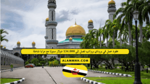 عقود عمل في بروناي برواتب تصل إلى 134,000 دولار سنويًا مع مزايا شاملة