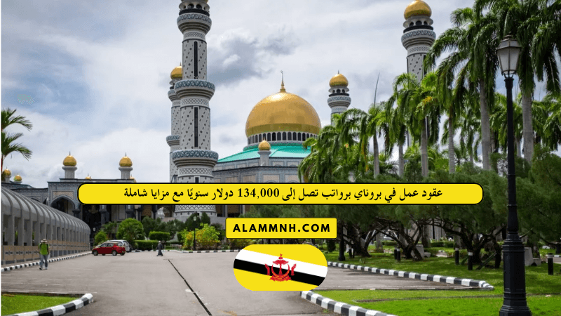 عقود عمل في بروناي برواتب تصل إلى 134,000 دولار سنويًا مع مزايا شاملة