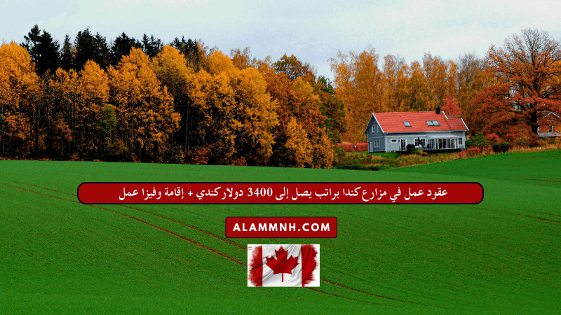 عقود عمل في مزارع كندا براتب يصل إلى 3400 دولار كندي + إقامة وفيزا عمل