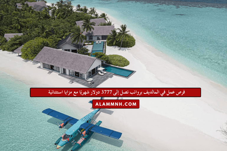 فرص عمل في المالديف برواتب تصل إلى 3777 دولار شهريًا مع مزايا استثنائية