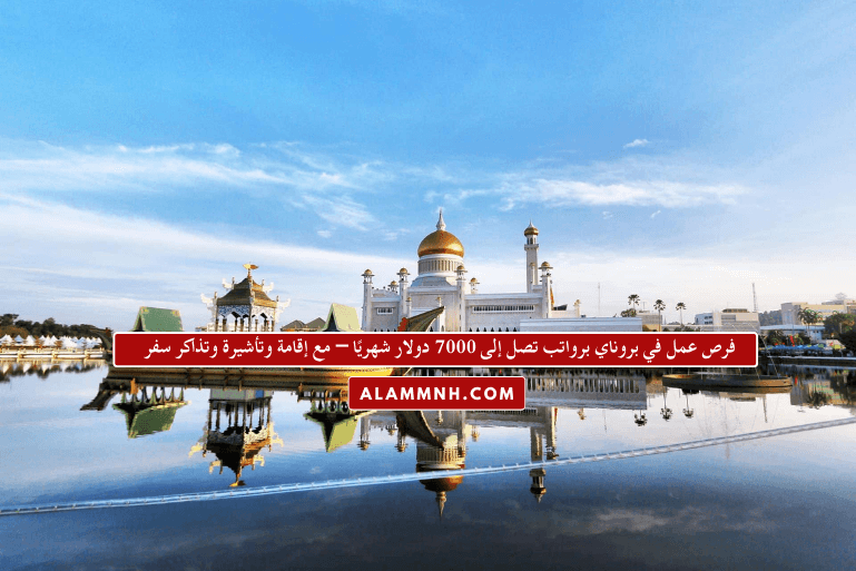 فرص عمل في بروناي برواتب تصل إلى 7000 دولار شهريًا – مع إقامة وتأشيرة وتذاكر سفر