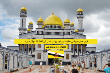 فرص عمل مغرية في حكومة بروناي: رواتب تصل إلى 11,000 دولار شهريًا